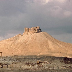 Palmyra 