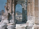 Arco monumental, en Palmira