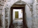 Aleppo 
