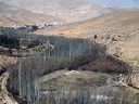 Vallée du Barada, environs de Damas