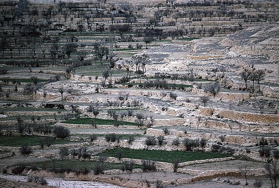 Près de Sednaya