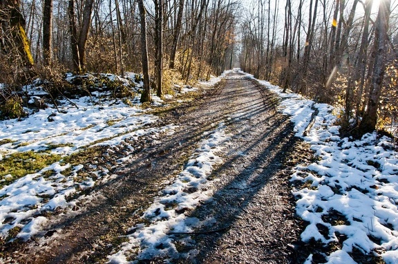 Paysage de Chartreuse