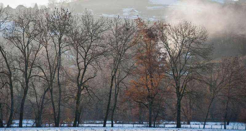 Landscape in the Chartreuse Mountains 