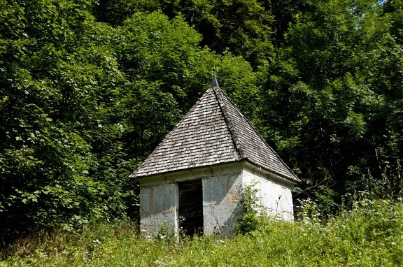 Near the Monastery of the Grande Chartreuse 