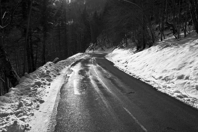 Near the Monastery of the Grande Chartreuse 