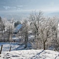 Landscape in the Chartreuse Mountains