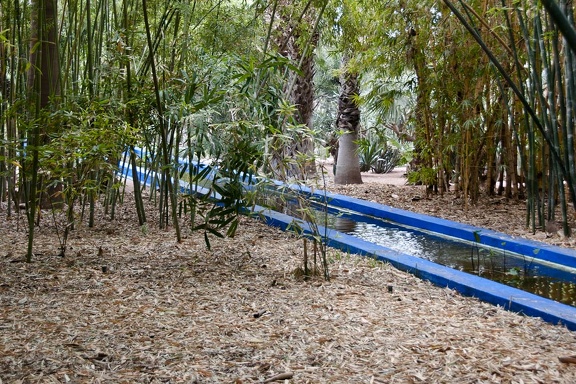 Jardin Majorelle