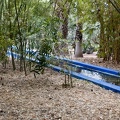 Jardin Majorelle