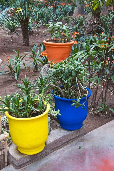 Jardin Majorelle