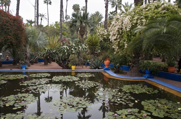 Jardin Majorelle