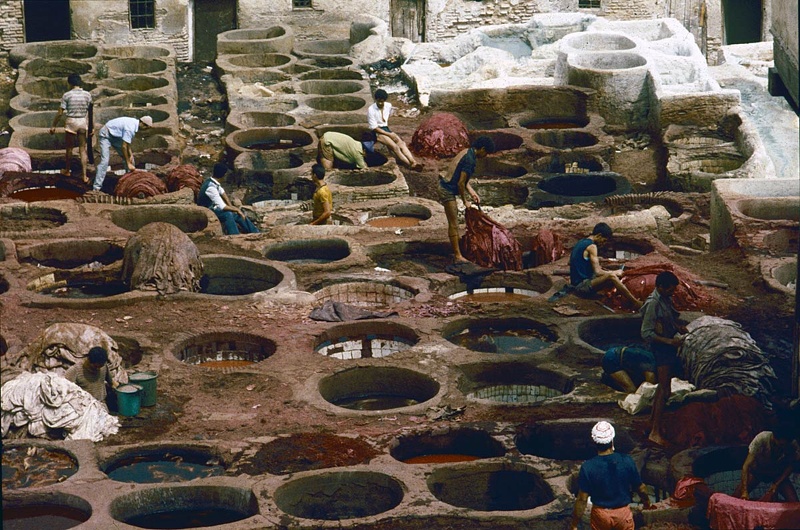 Les tanneurs de Fès