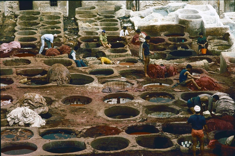 Les tanneurs de Fès