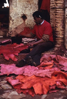 Maroquinier. Médina de Fès