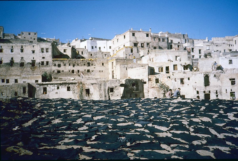 Les tanneurs de Fès