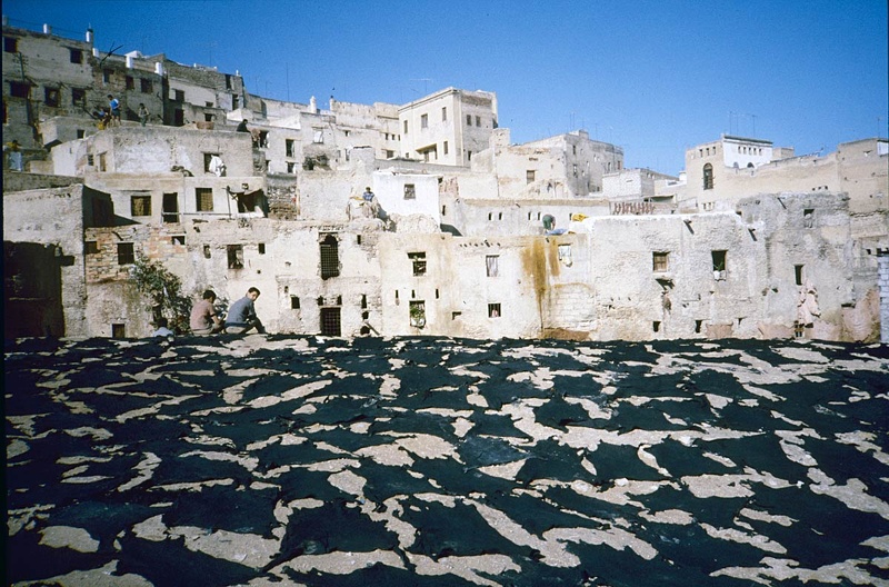 Les tanneurs de Fès