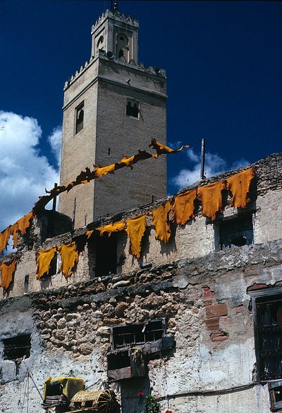 Les tanneurs de Fès