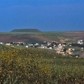Région de Hama
