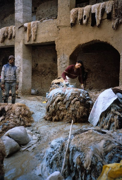 Tanneries à Fès