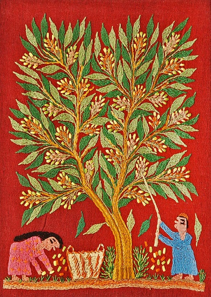 La récolte des nabak (Amira Nasser) - 2010