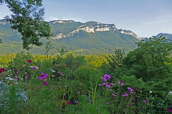 Paysage de Chartreuse