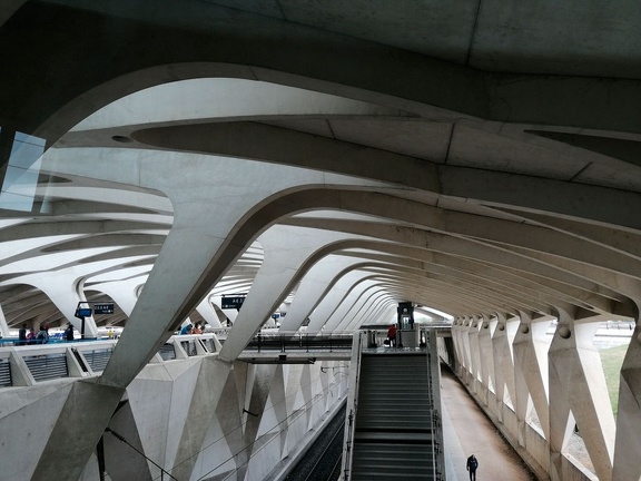 Gare de Lyon-Saint-Exupéry TGV