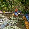 Jardin Majorelle