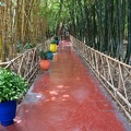 Jardin Majorelle