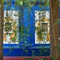 Jardin Majorelle