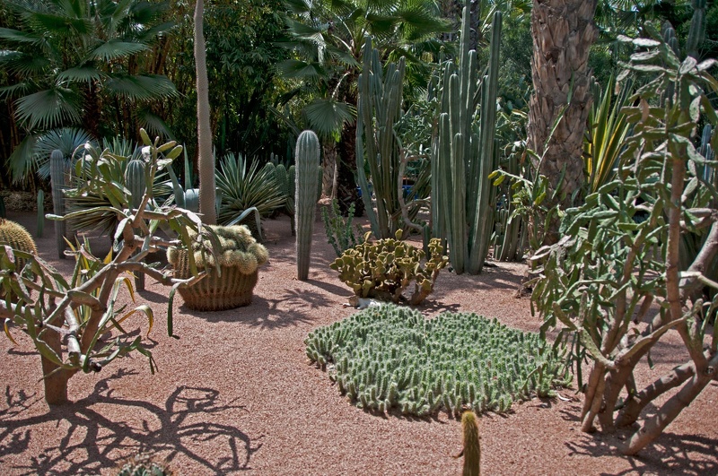 Jardin Majorelle