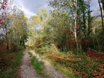 Automne en Chartreuse