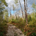 Automne en Chartreuse