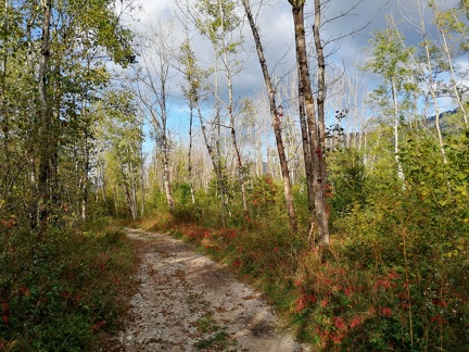 Automne en Chartreuse