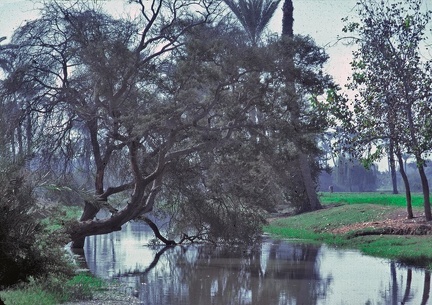 Paysage du Fayoum