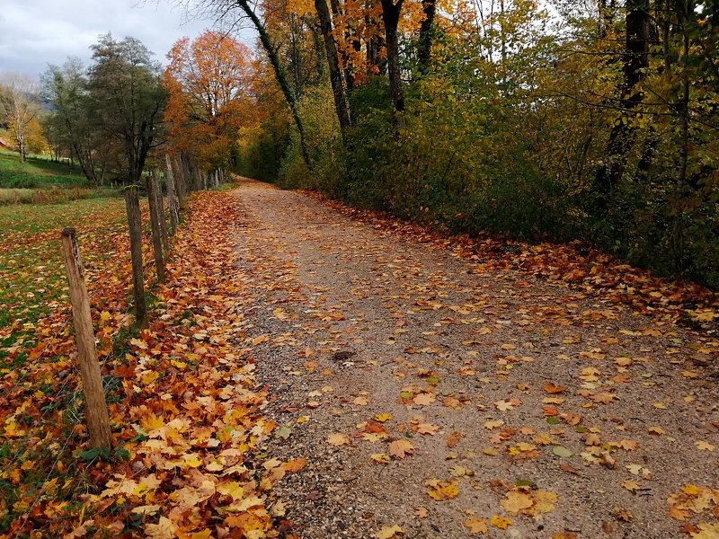 Automne en Chartreuse