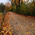 Automne en Chartreuse