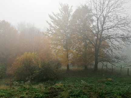 Automne en Chartreuse