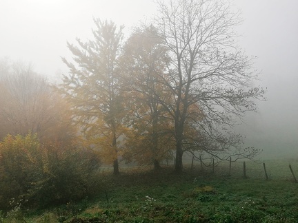 Automne en Chartreuse