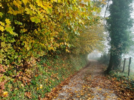 Automne en Chartreuse