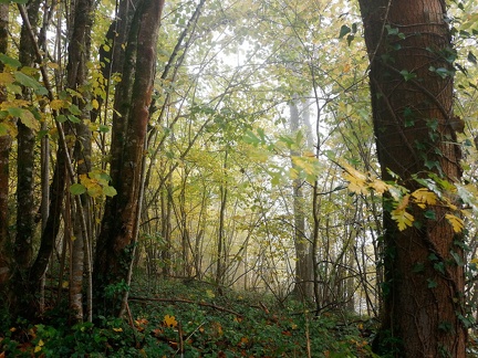 Automne en Chartreuse