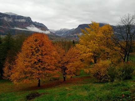 Automne en Chartreuse