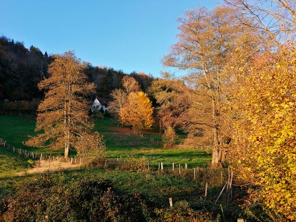 Automne en Chartreuse