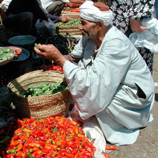 Souk el Lemoun, Alexandrie, 2003