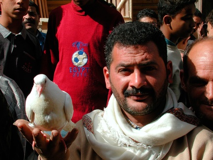 Souk el Lemoun, Alexandrie, 2004