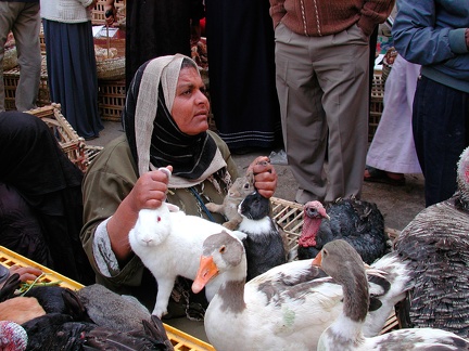 Souk el Lemoun, Alexandrie, 2004