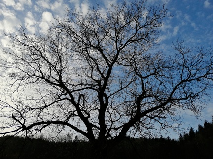 Paysage de Chartreuse