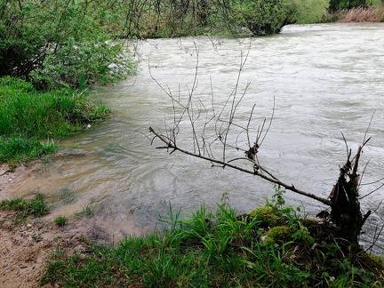 Confluence Guiers Mort / Guiers Vif - les Echelles (Chartreuse)