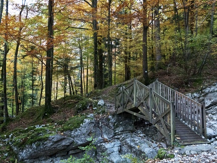 Chartreuse. Le Guiers Mort près du pont Saint Bruno