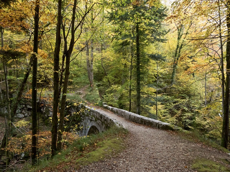 Chartreuse. Le Guiers Mort près du pont Saint Bruno