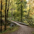 Chartreuse. Le Guiers Mort près du pont Saint Bruno