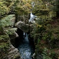 Le pont romain sur le Guiers Vif à Saint Christophe la Grotte